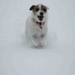 IMG_3106